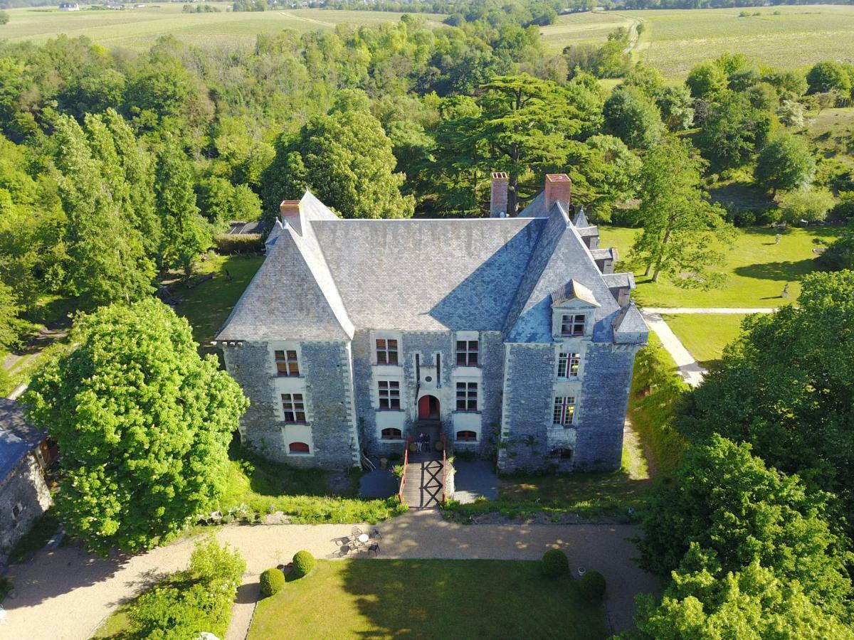 Chateau De La Fresnaye Bed and Breakfast Saint-Aubin-de-Luigné Eksteriør billede